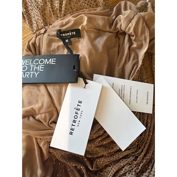 retrofete Oakley Mesh Embellished Gown Dress Sepia Womens Size Medium - Picture 10 of 12